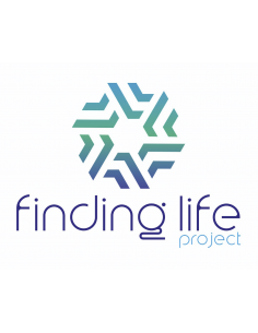 Pack 2 Cajones de acero...