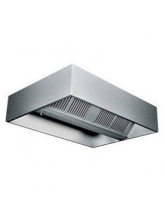 Campana Extractora...