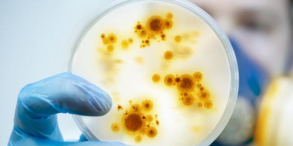 El peligro oculto de las superbacterias hospitalarias: ya causan tres veces más muertes que los accidentes de tráfico