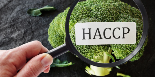 HACCP: Todo lo que debes saber sobre seguridad alimentaria y control de riesgos