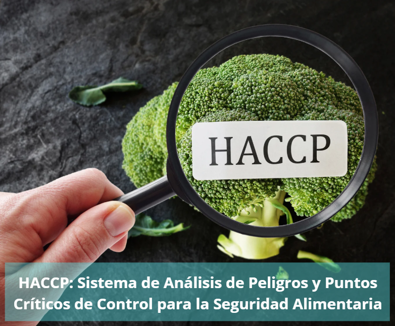 HACCP: Todo lo que debes saber sobre seguridad alimentaria y control de riesgos